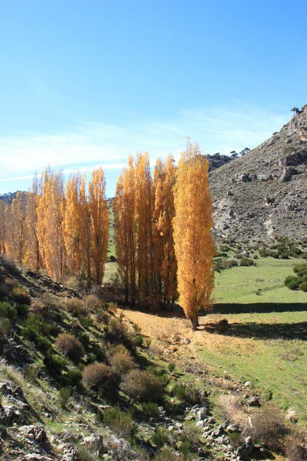 Alojamiento Aguasblanquillas كوتو ريوس المظهر الخارجي الصورة